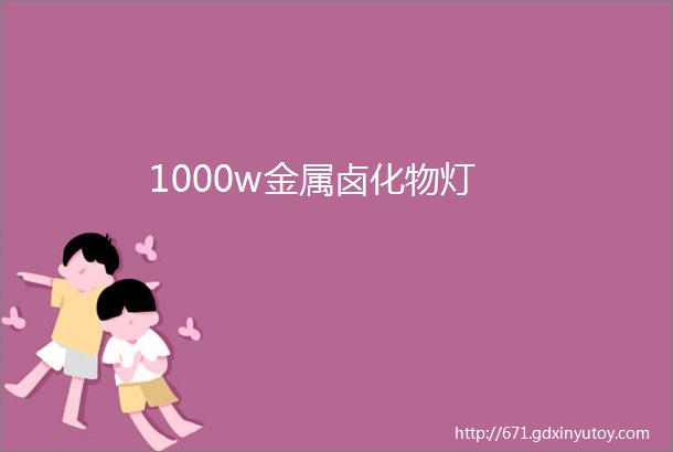 1000w金属卤化物灯