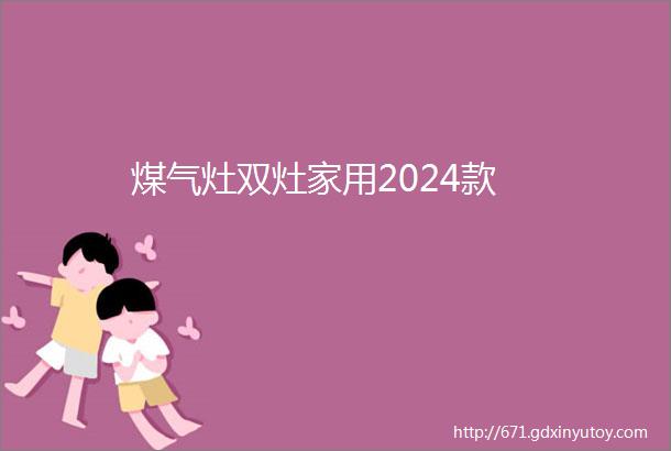 煤气灶双灶家用2024款