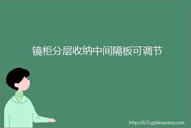 镜柜分层收纳中间隔板可调节