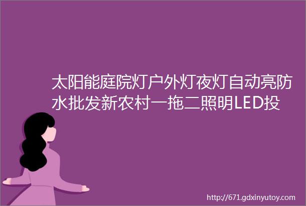 太阳能庭院灯户外灯夜灯自动亮防水批发新农村一拖二照明LED投光灯路灯