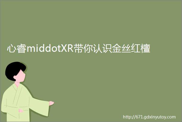 心睿middotXR带你认识金丝红檀