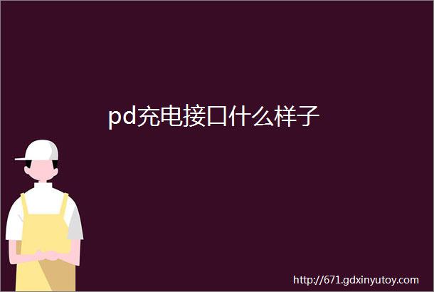 pd充电接口什么样子